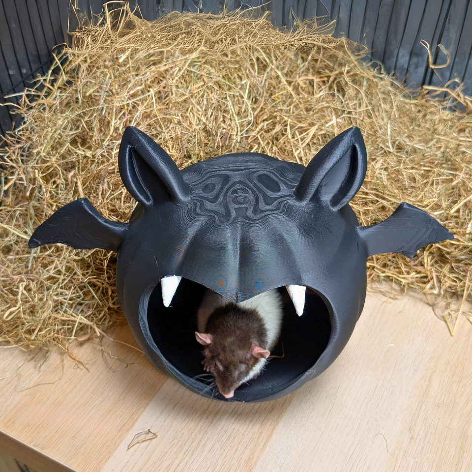 Cute Kawaii Bat Goth Hide Cave top-down view showing interior