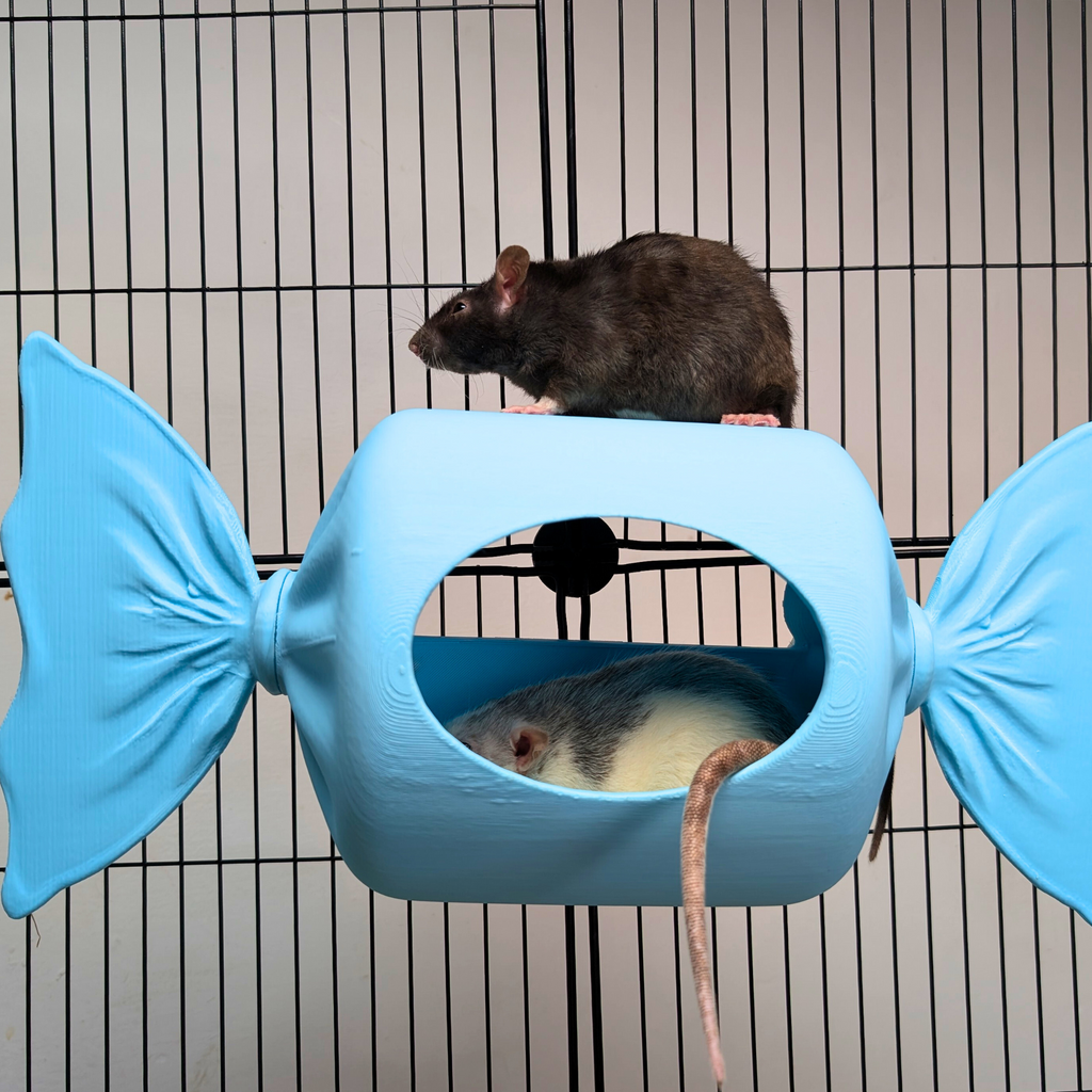 Blue Sweetie Rat Hide & Bed