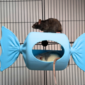 Blue Sweetie Rat Hide & Bed styled in home setting