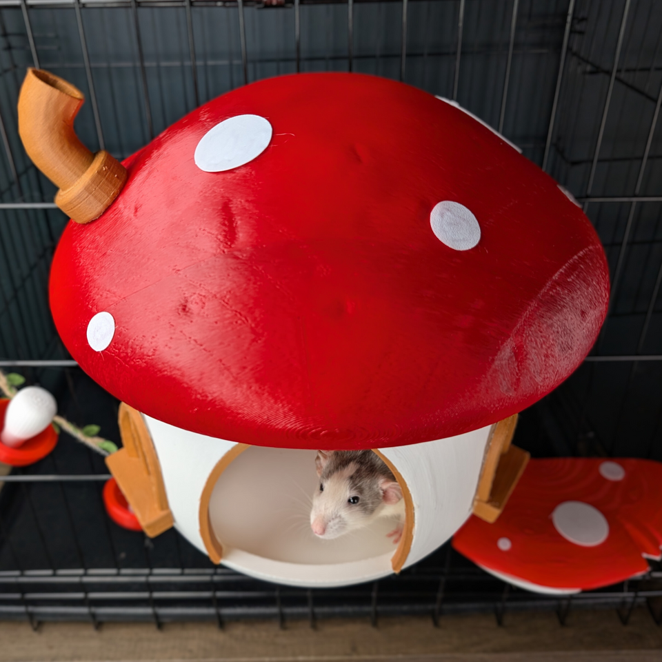 Fairy Mushroom Rat Hide product packaging and presentation
