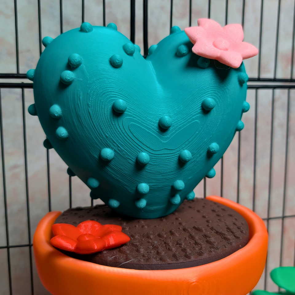 Cactus Rat Hide product packaging and presentation