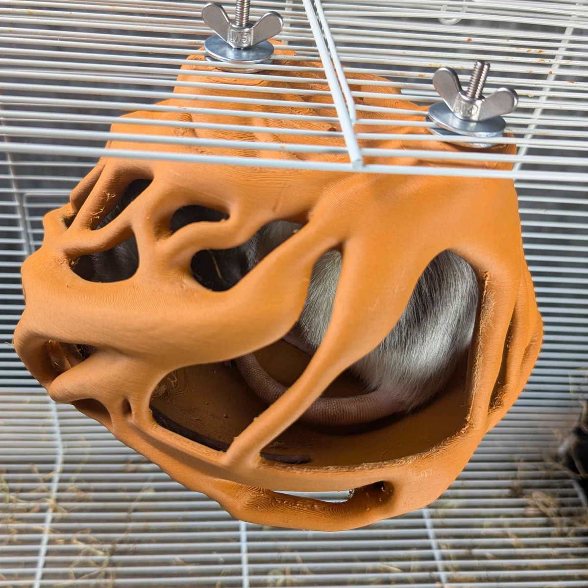 Natural Root Burrow Rat Hideaway size reference with hand for scale