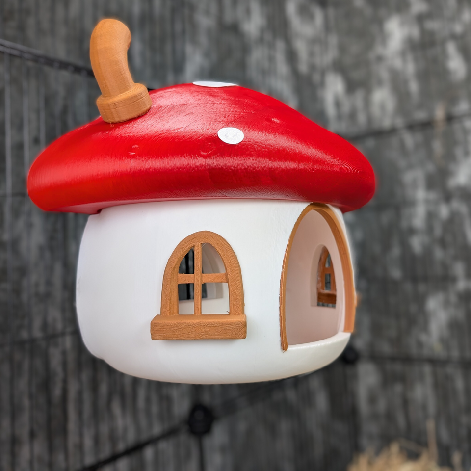 Fairy Mushroom Rat Hide lifestyle context shot