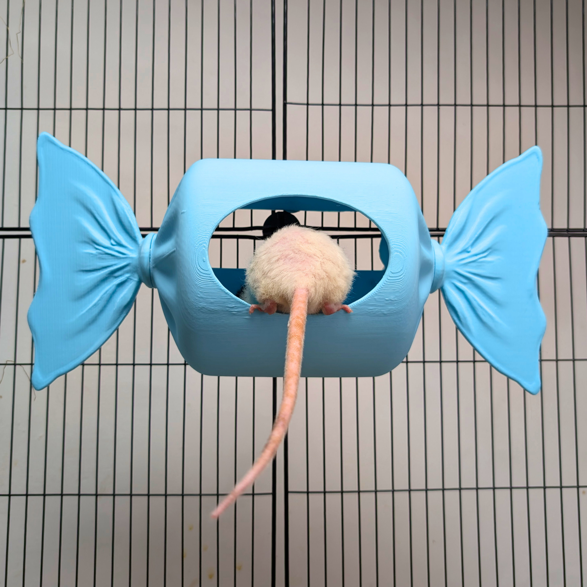 Blue Sweetie Rat Hide & Bed