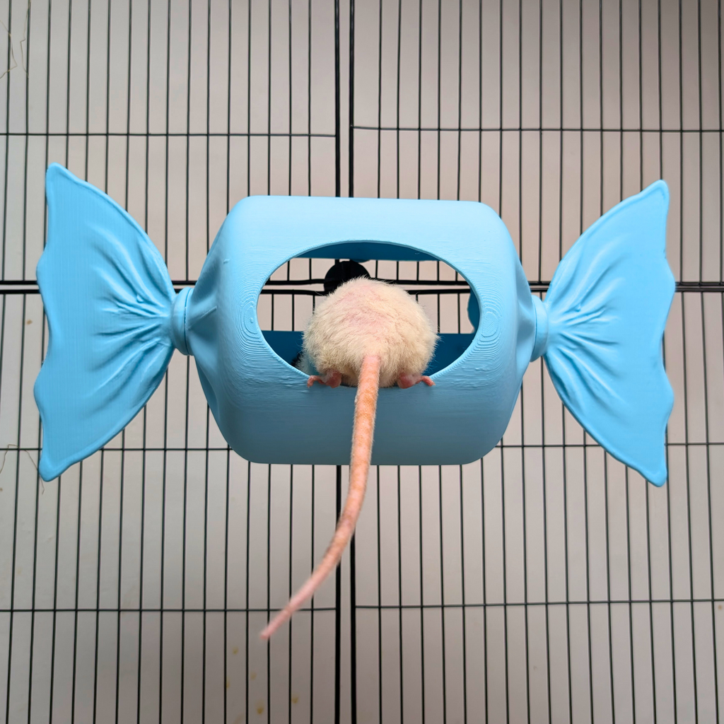 Blue Sweetie Rat Hide & Bed