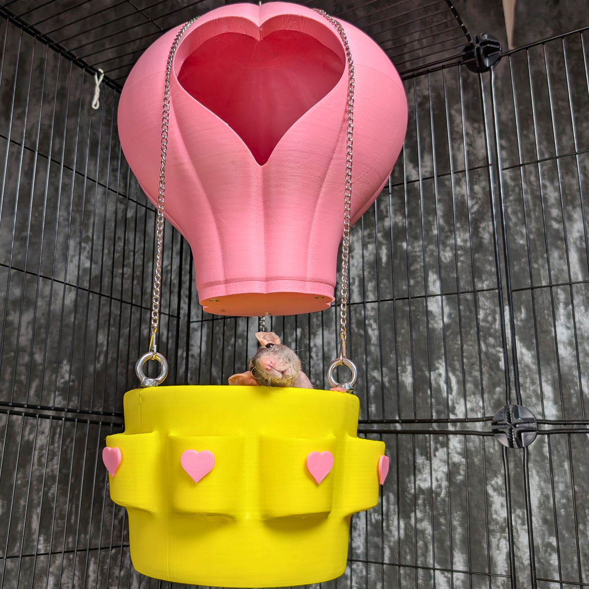 Hot Air Balloon Rat Basket top-down view showing interior