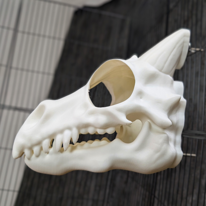 Dragon Skull Rat Hide