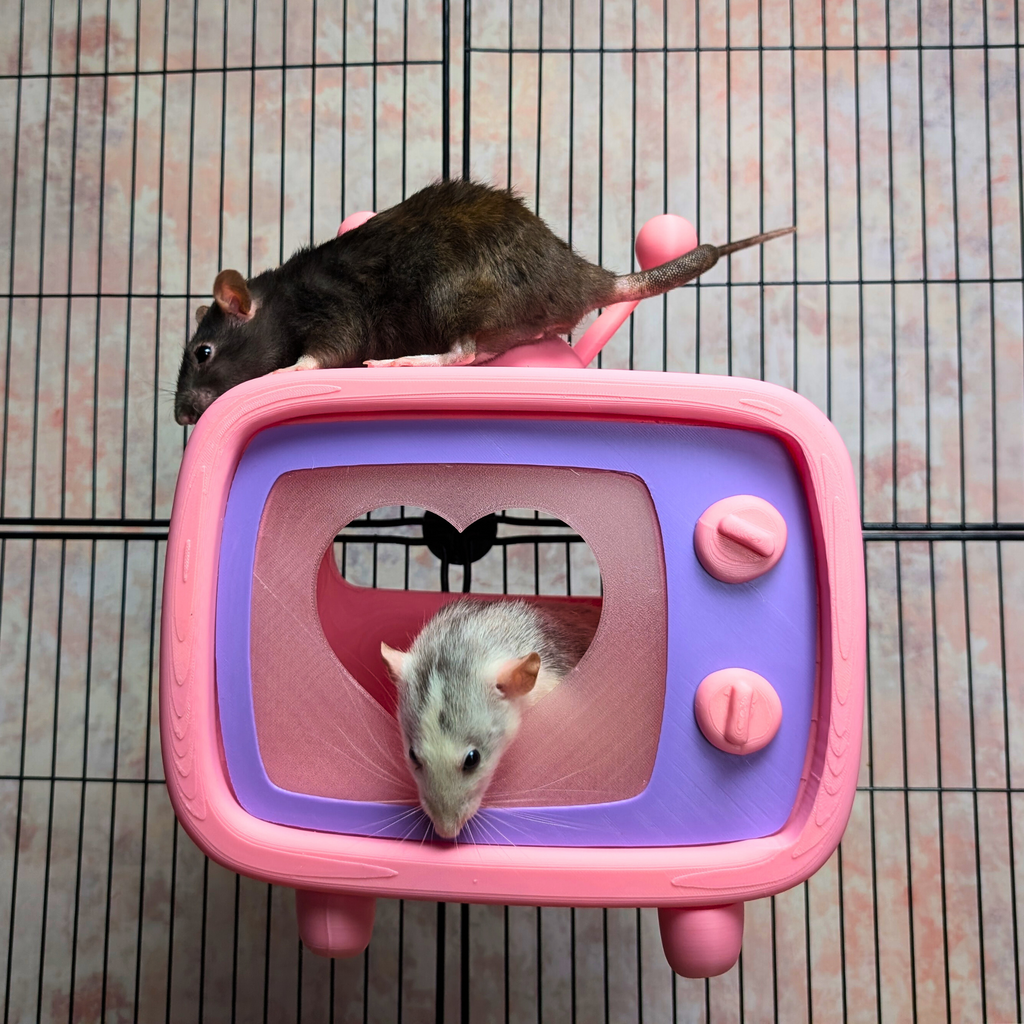 Rat Hide Retro TV