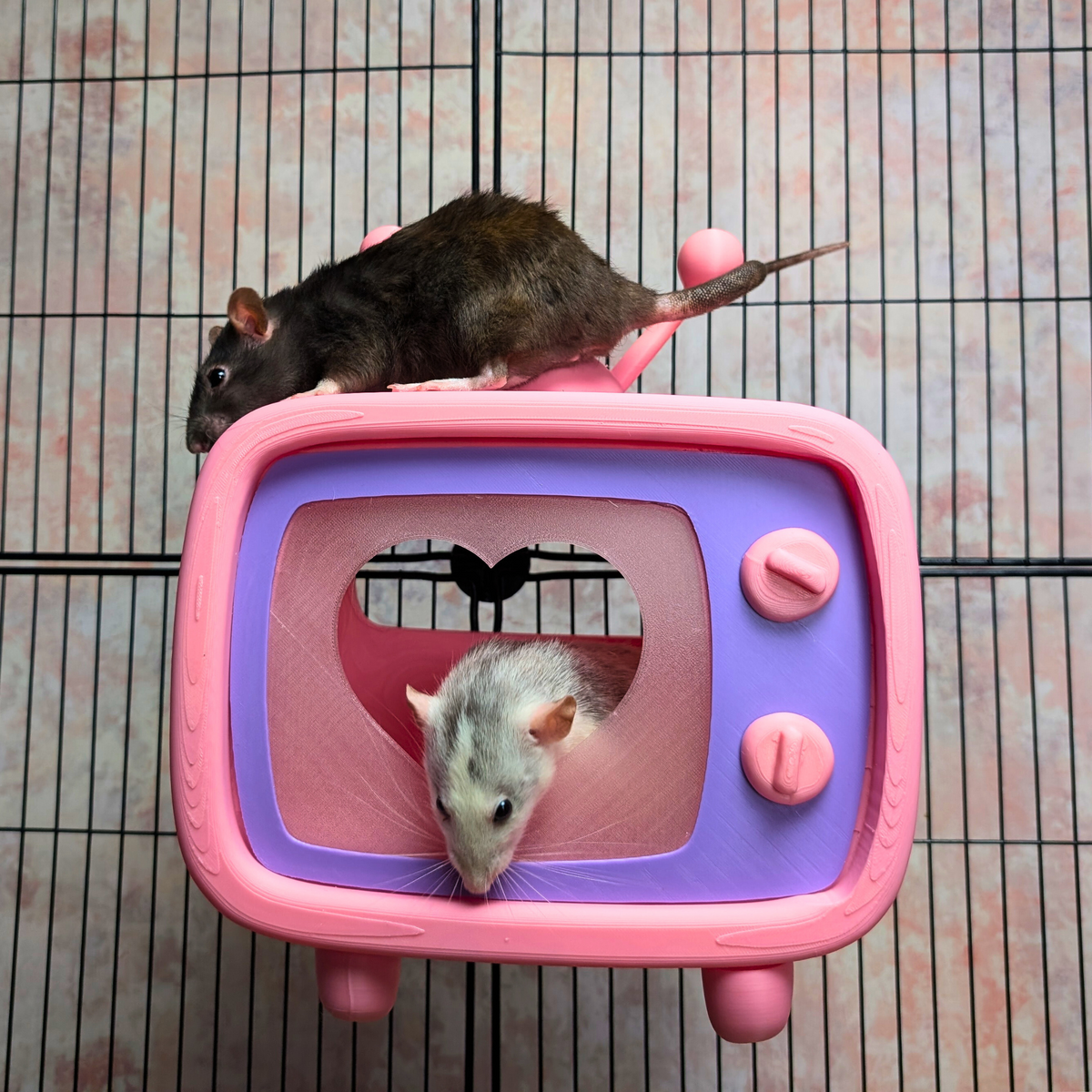 Retro TV Rat Hide product packaging and presentation