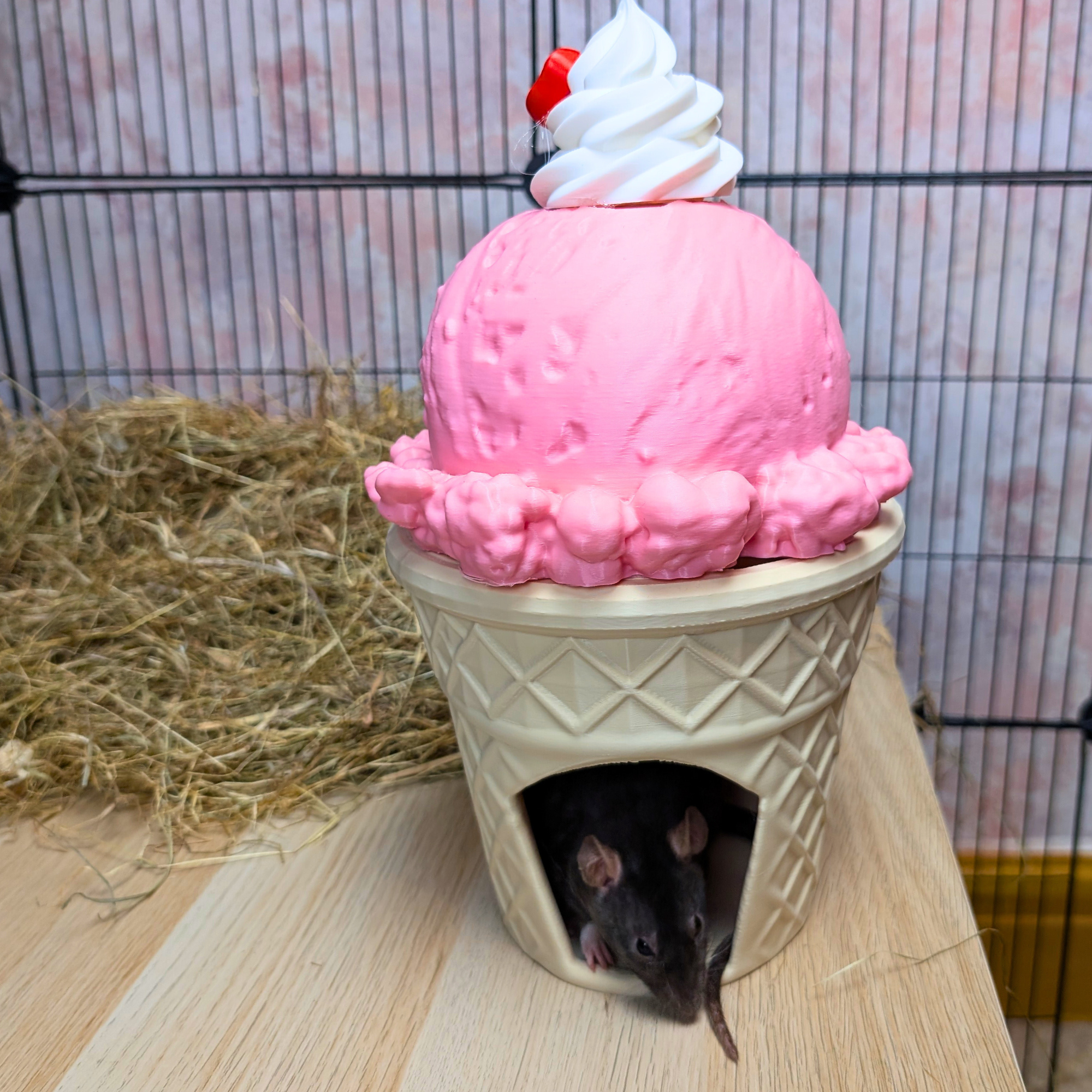 Strawberry Ice Cream Cone Cave for Cage