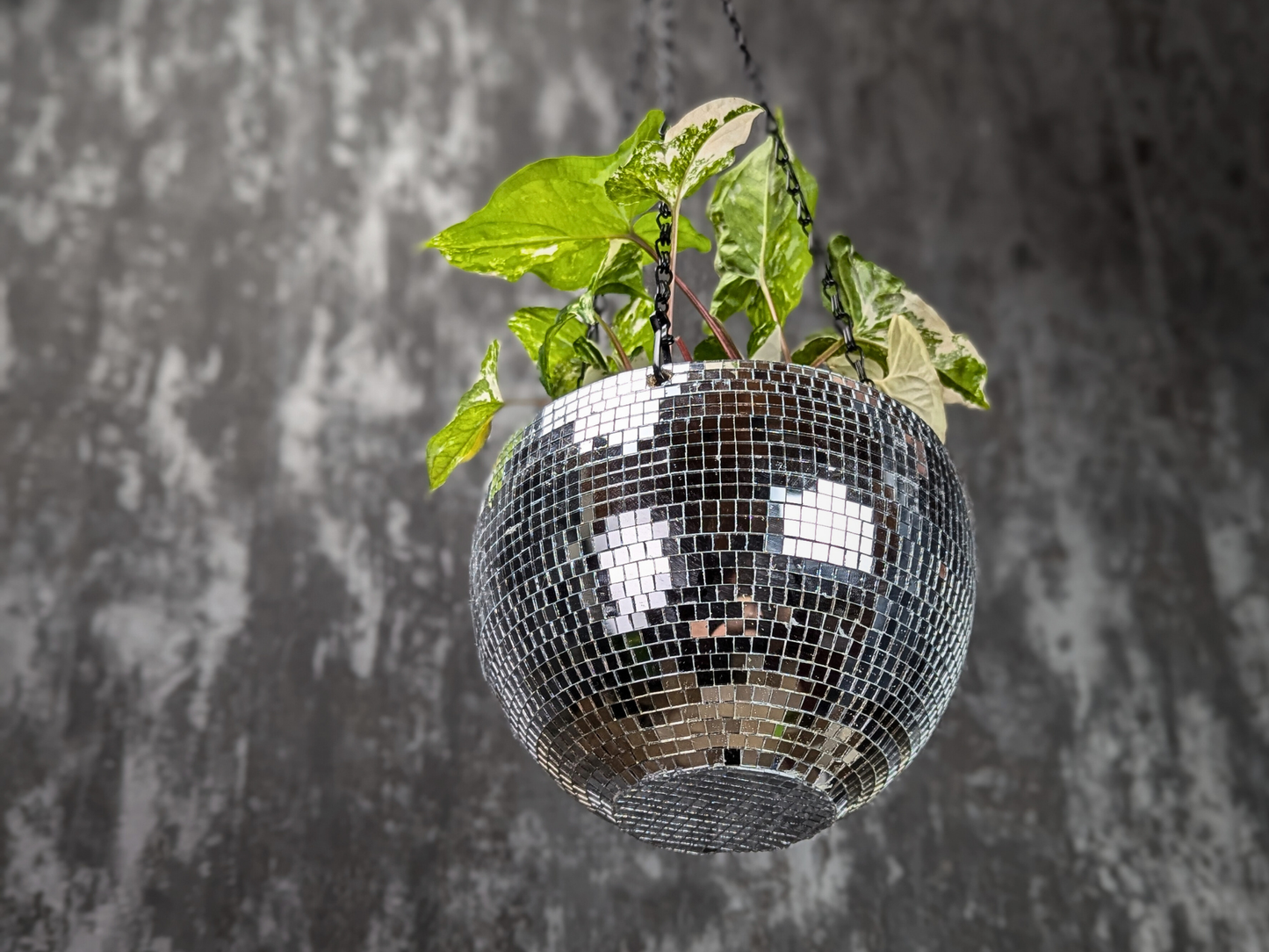 Hanging Disco Ball Planter