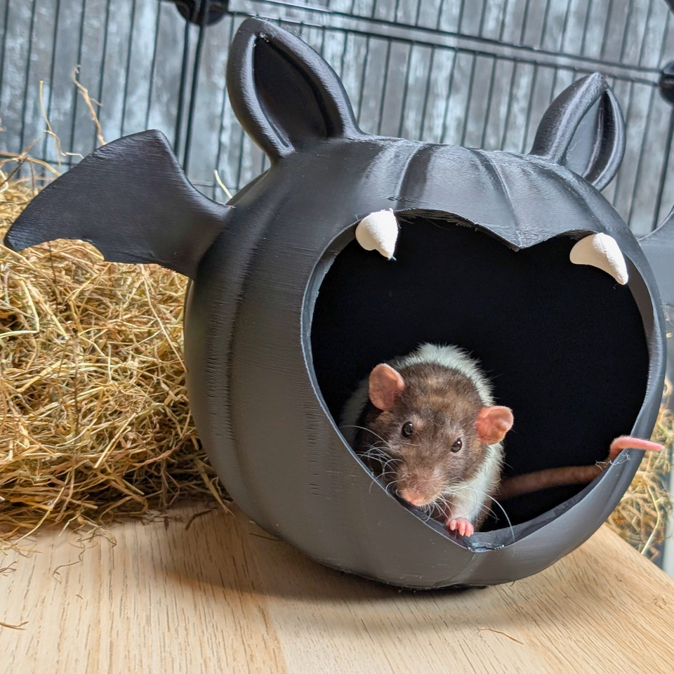 Cute Kawaii Bat Goth Hide Cave styled in home setting