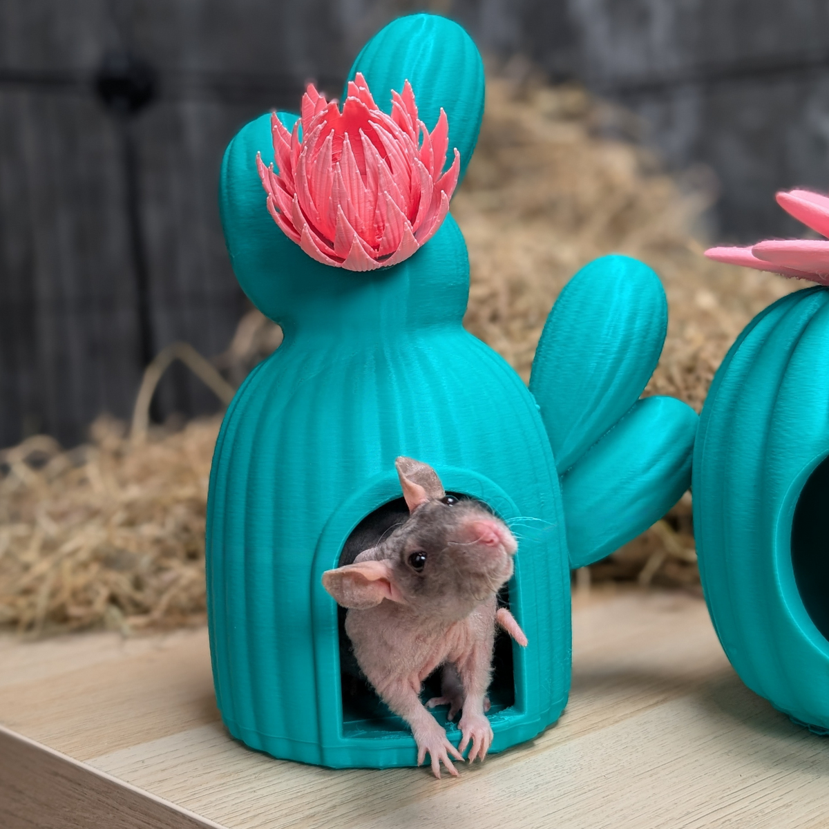 Cactus Rat House & Pet Bed side profile view