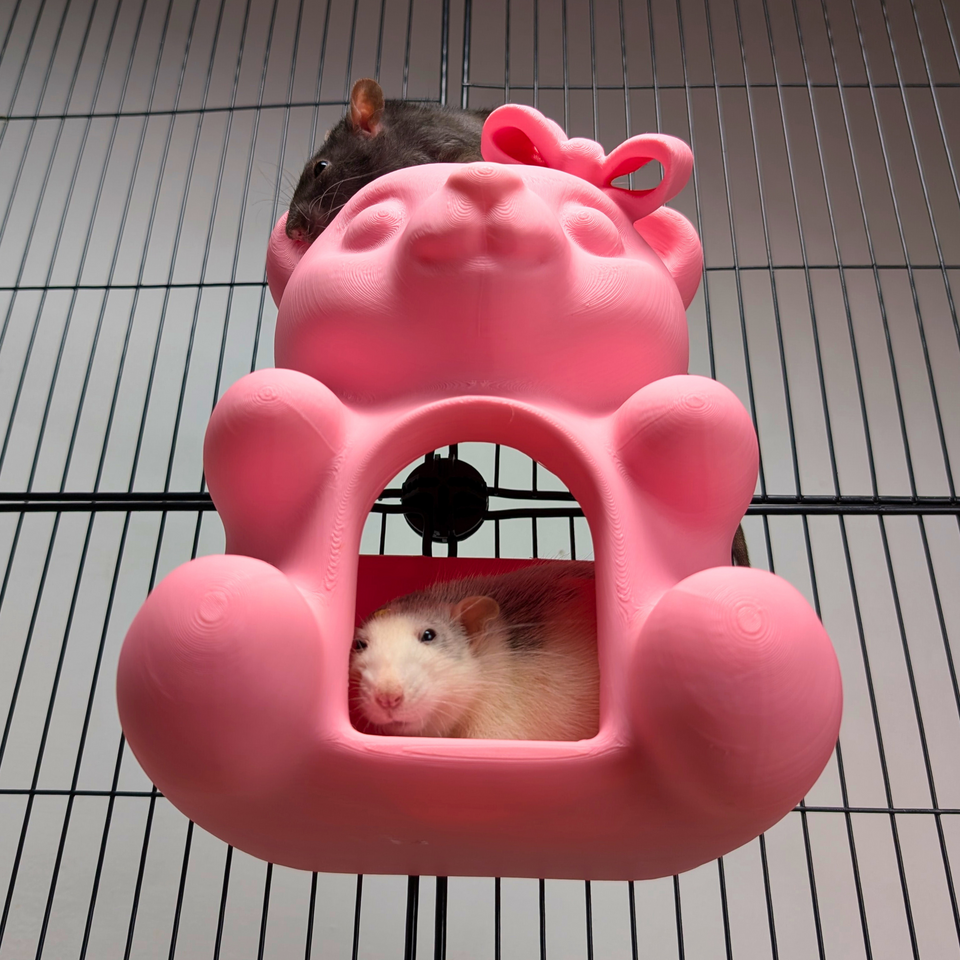 Cute Sweet Bear Rat Hide & Bed product packaging and presentation