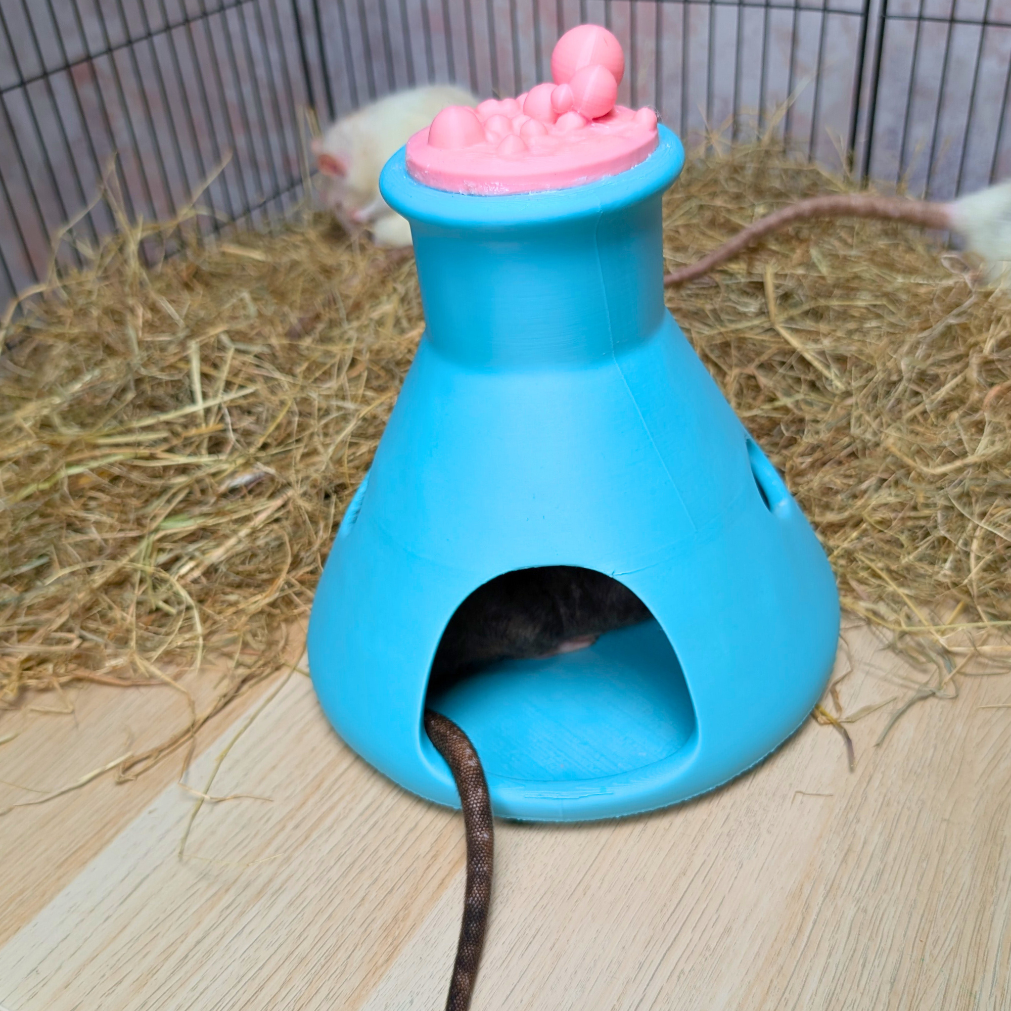 Rat House | 3D Printed Science Flask Hideout