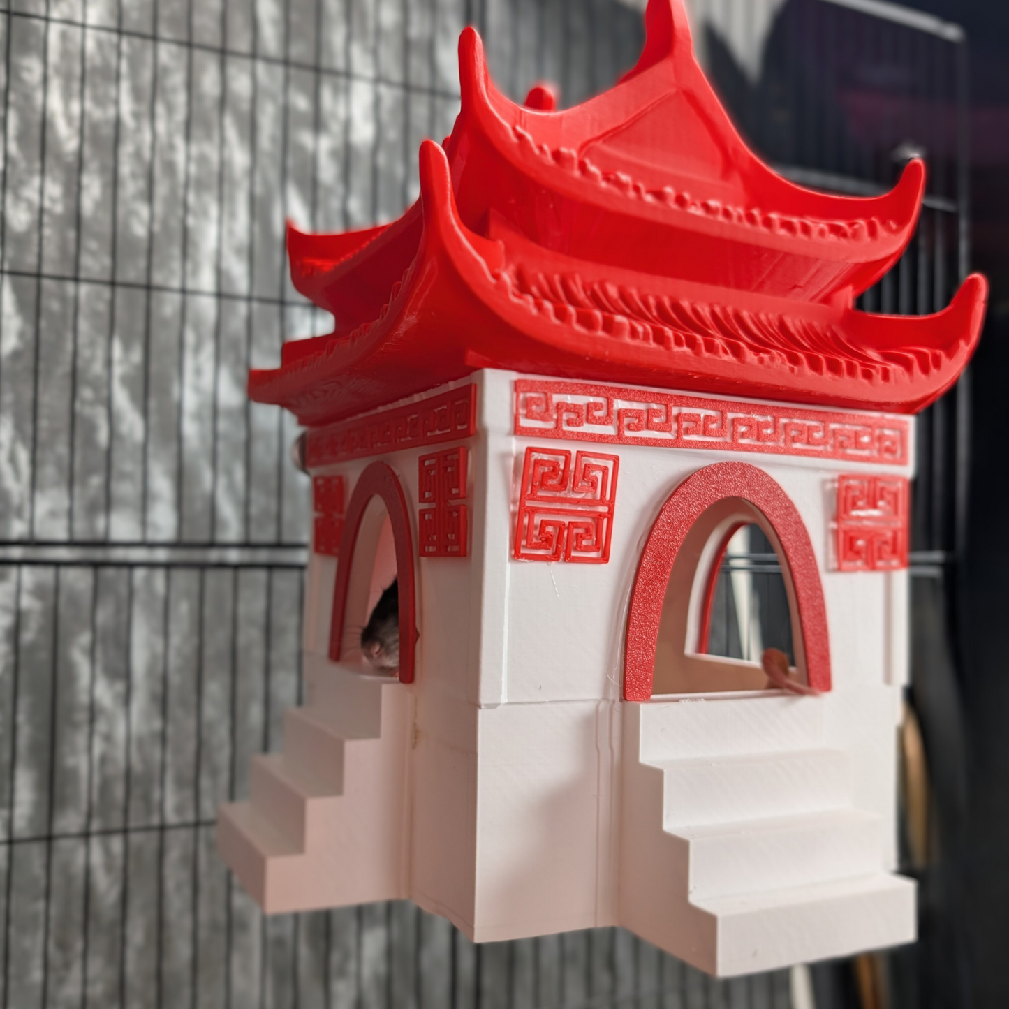 Chinese Temple Rat Hide