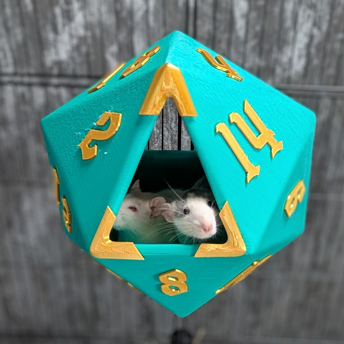 D20 Dice Rat Hide: rat peeking from the triangular entrance