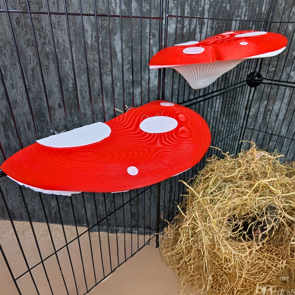 Mushroom Rat Shelf Pair full set arranged together