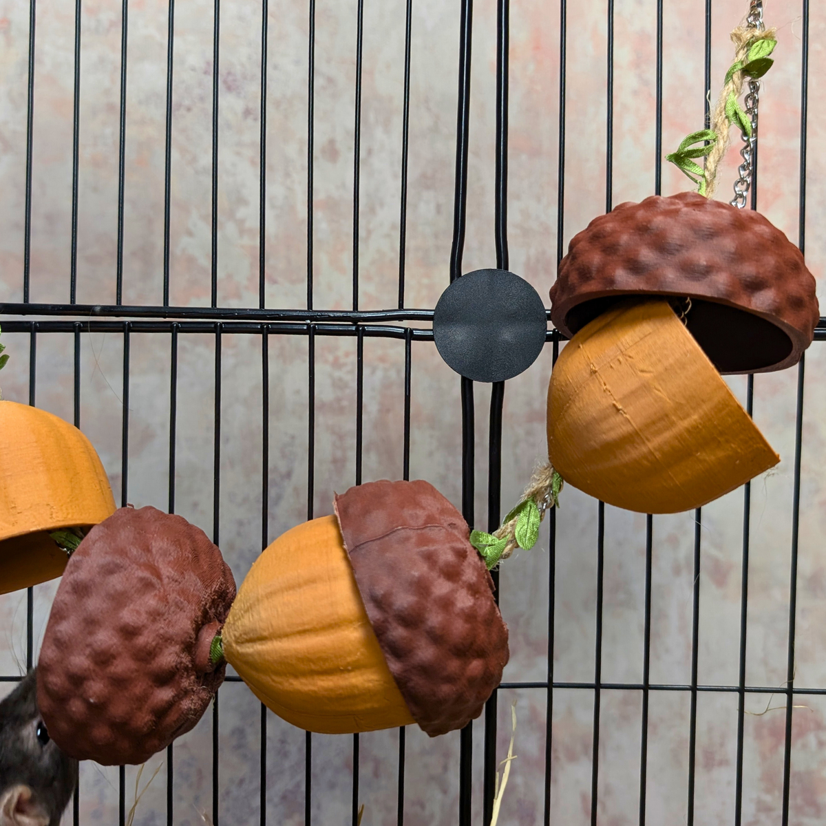 Acorn Rat Foraging Garland: close view of three acorn cups hanging at different heights