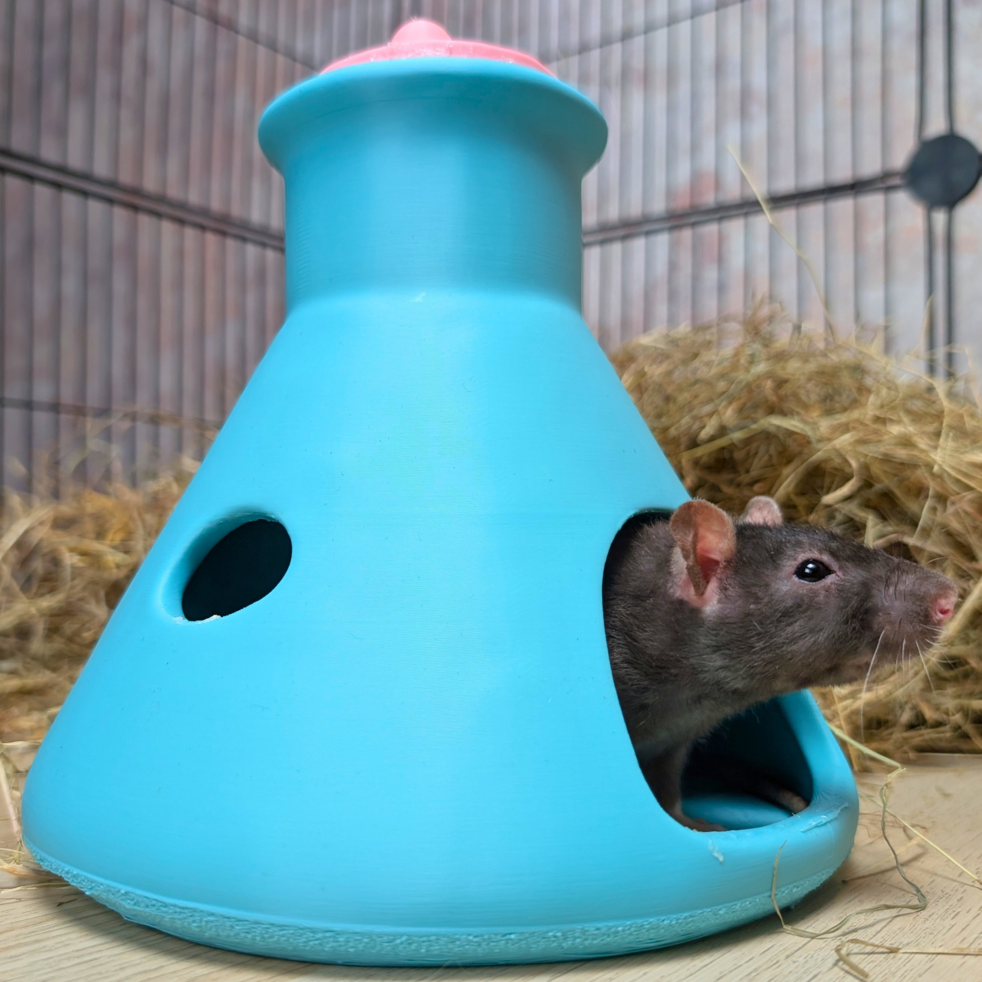 Rat House | 3D Printed Science Flask Hideout
