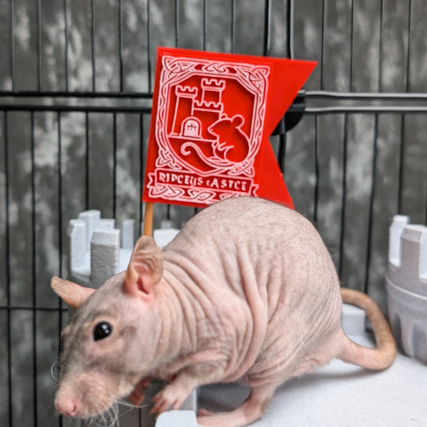 Castle Rat Hide
