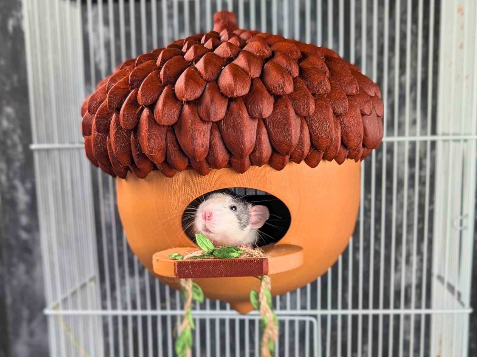 Personalized Acorn Rat Hideaway Lodge