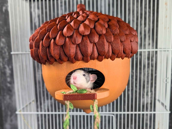 Personalized Acorn Rat Hideaway Lodge