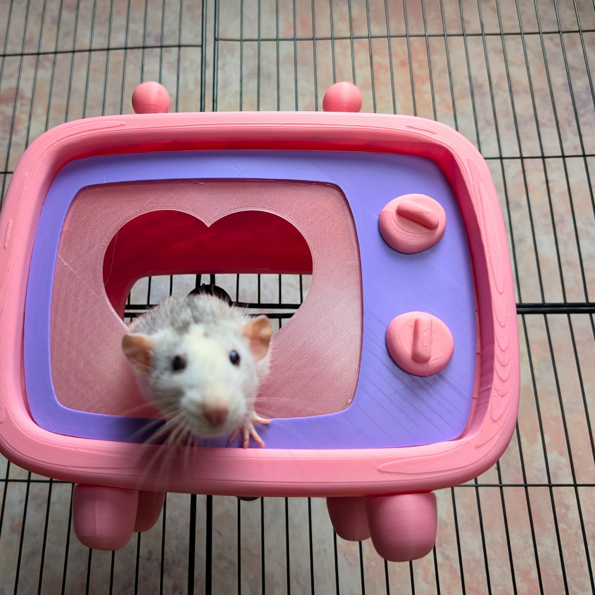 Rat Hide Retro TV