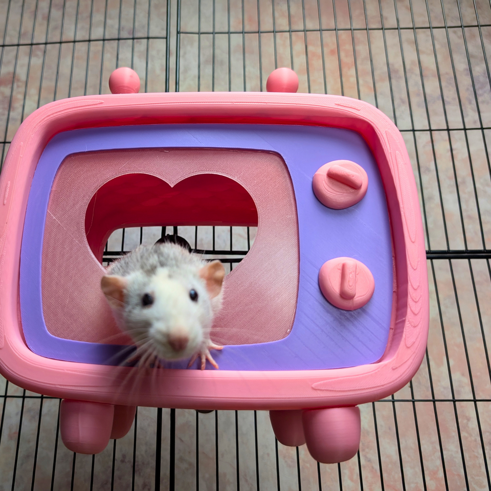 Retro TV Rat Hide displayed alongside complementary pieces