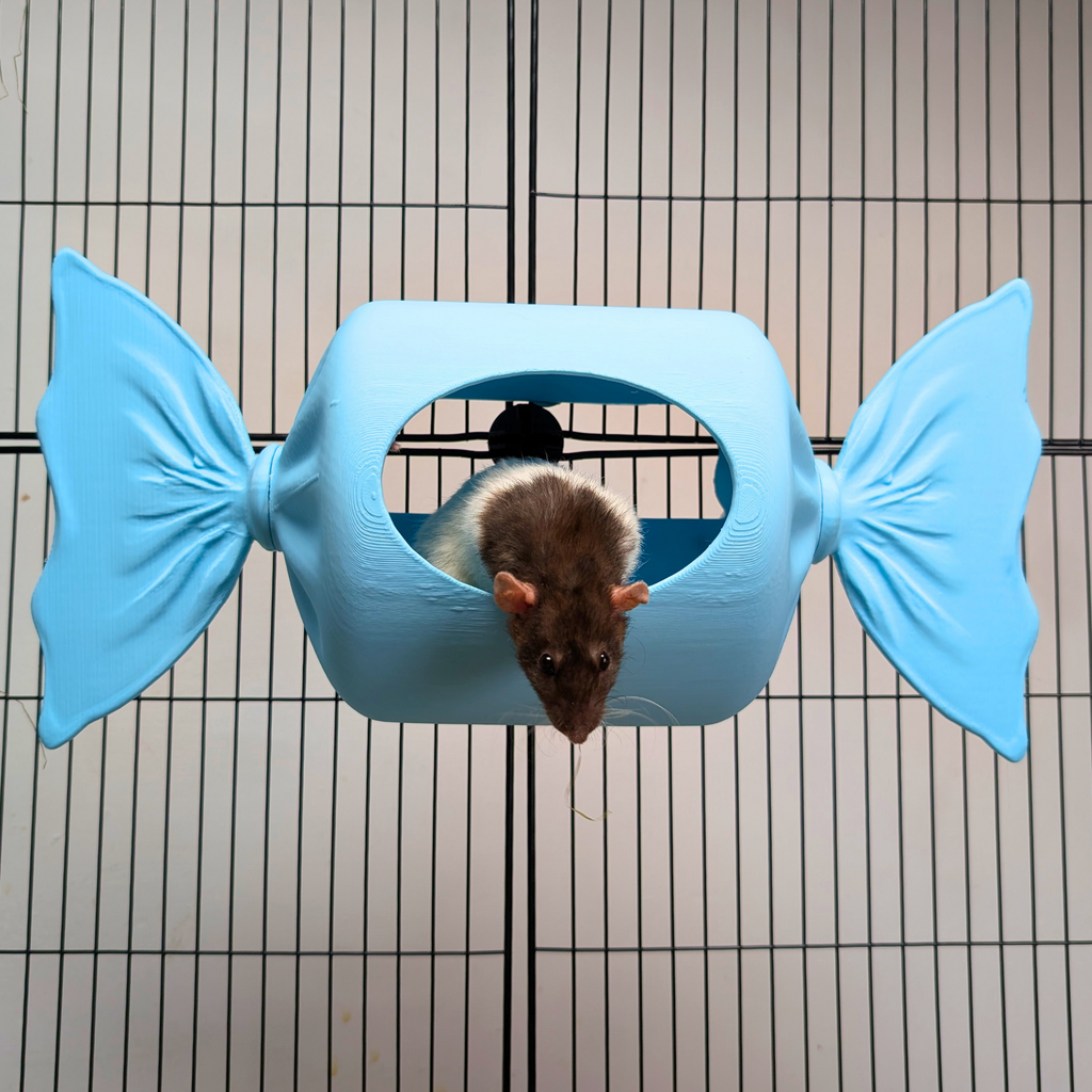 Blue Sweetie Rat Hide & Bed