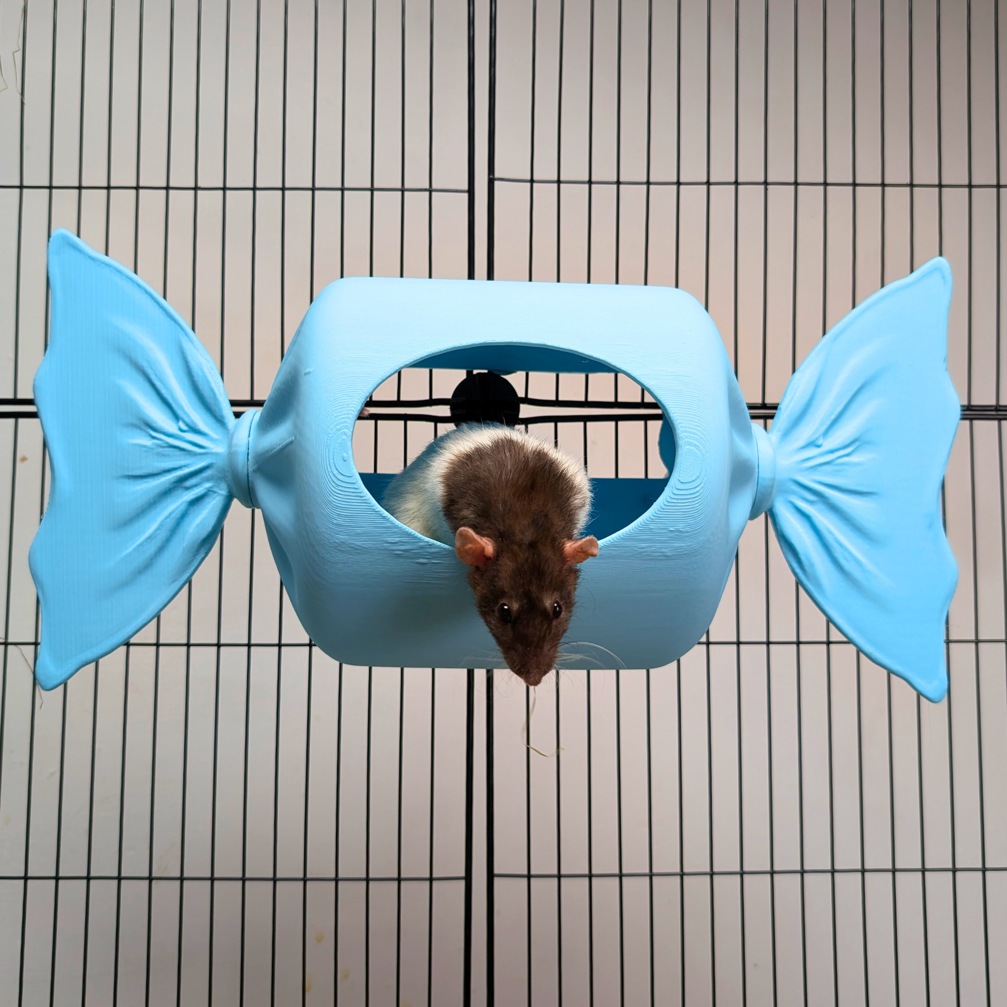Blue Sweetie Rat Hide & Bed
