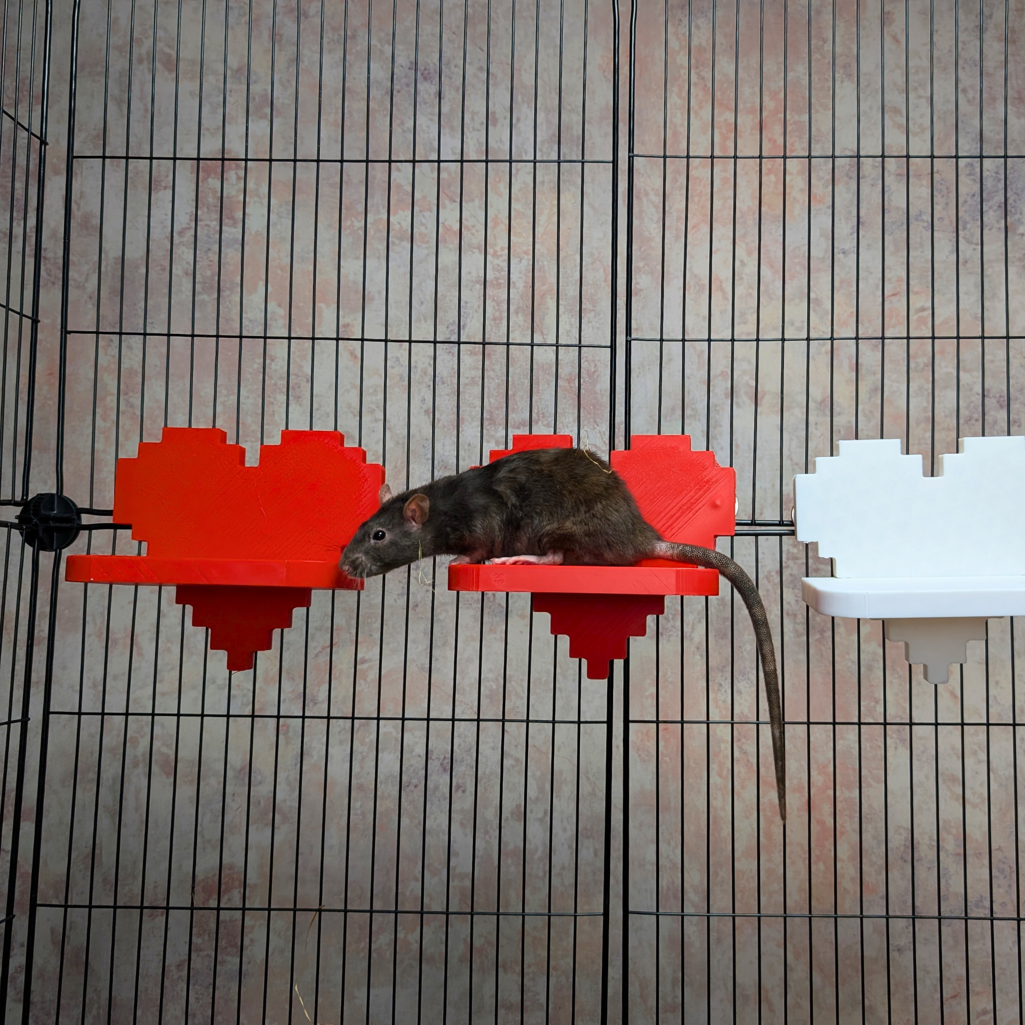 Pixel Heart Cage Shelves