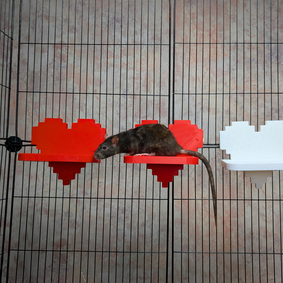 Pixel Heart Rat Cage Shelves displayed alongside complementary pieces