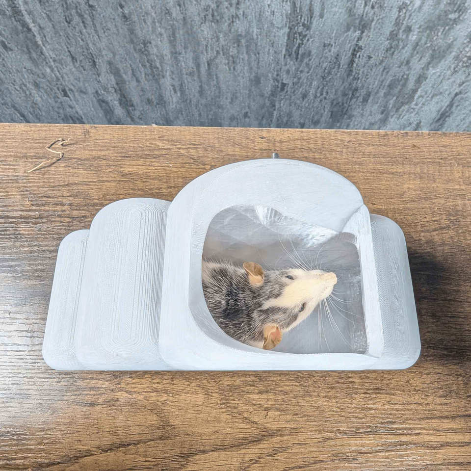 Cloud Rat Shelves & Hideaway lifestyle context shot