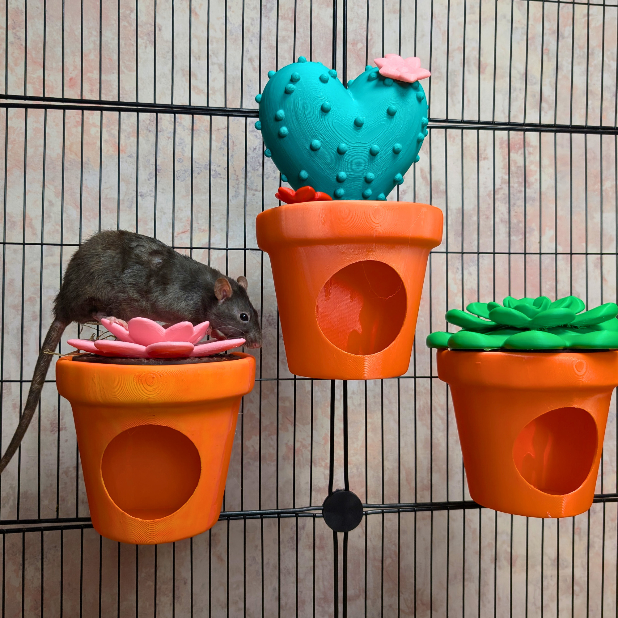 Rat Hide Cactus Pot | 3D Printed Small Animal House