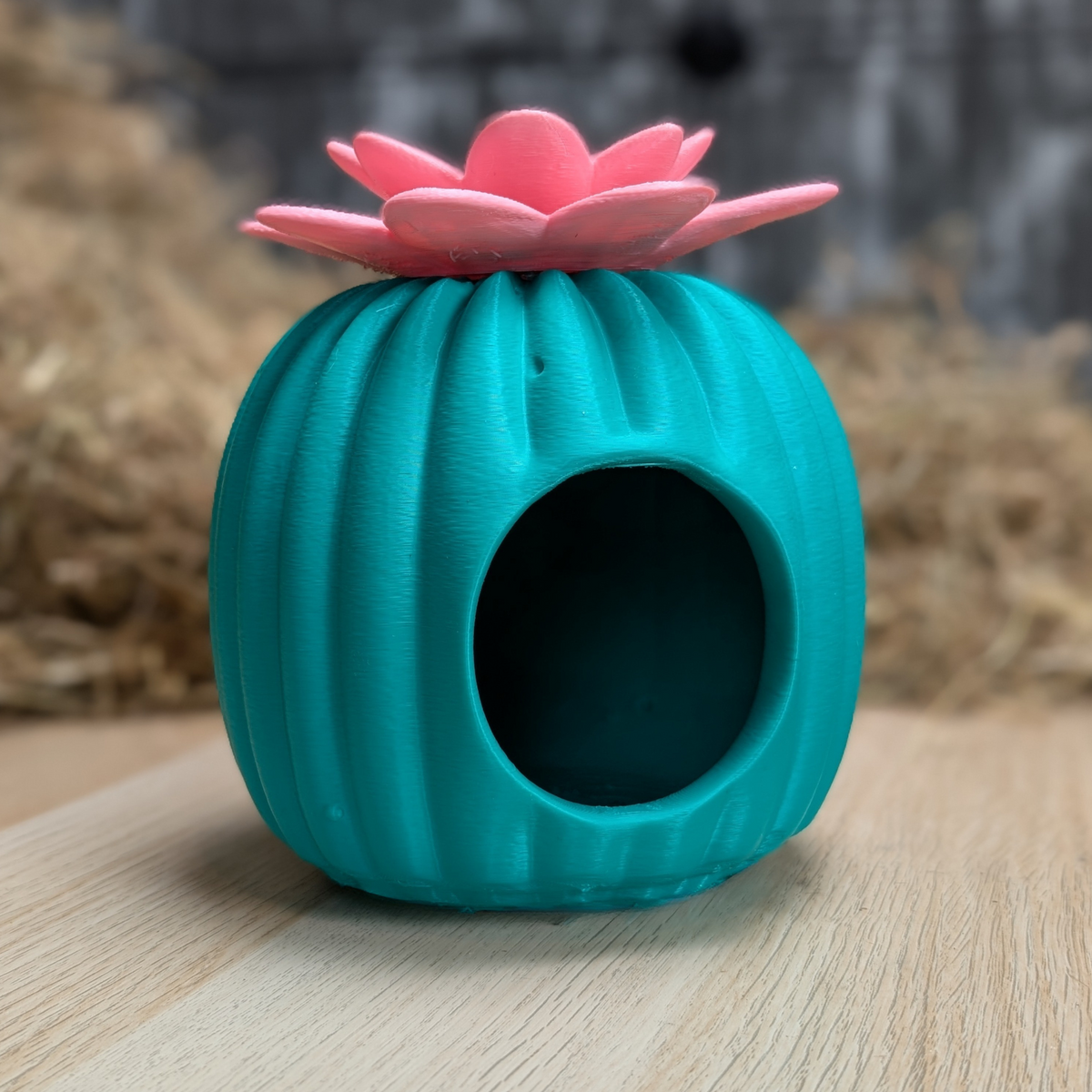 Cactus Rat House & Pet Bed styled in home setting