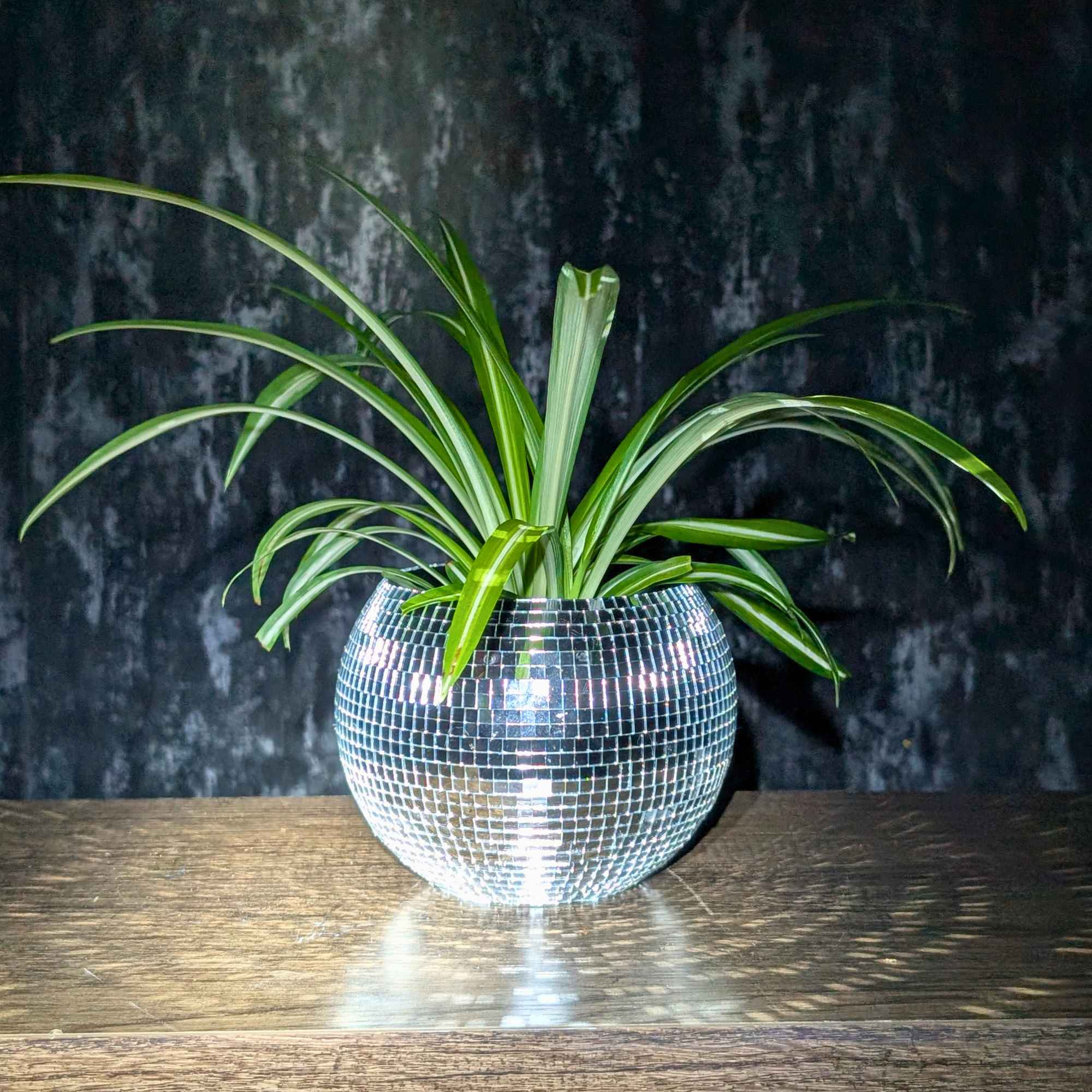 Disco Ball Hanging Planter