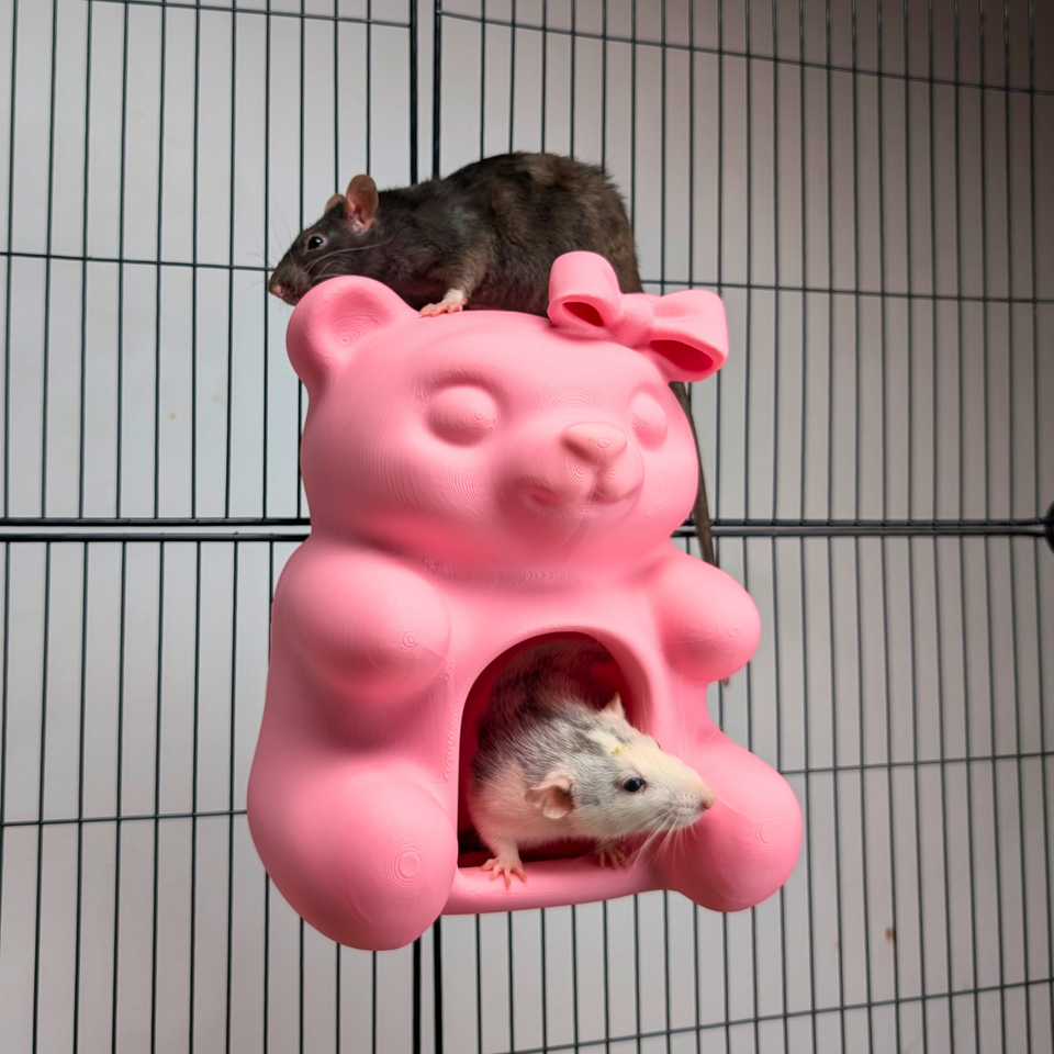 Cute Sweet Bear Rat Hide & Bed displayed alongside complementary pieces