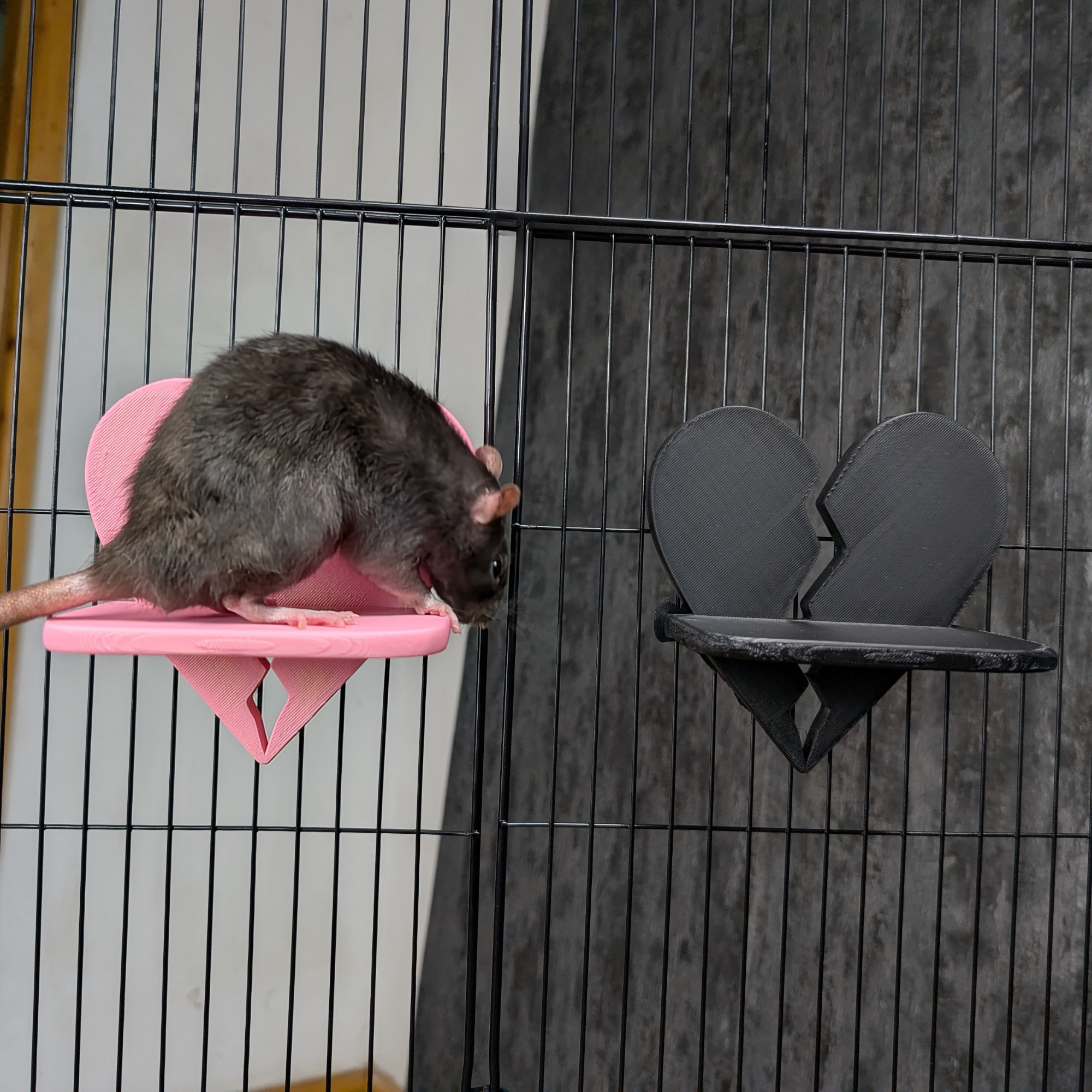 Broken Heart Rat Cage Shelf Set