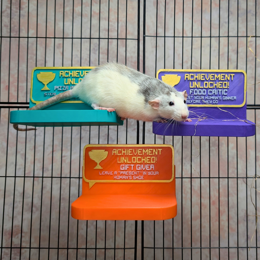 Cute Rat Toy & Custom Shelf
