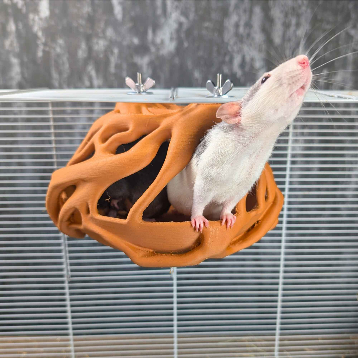 Natural Root Burrow Rat Hideaway side profile view