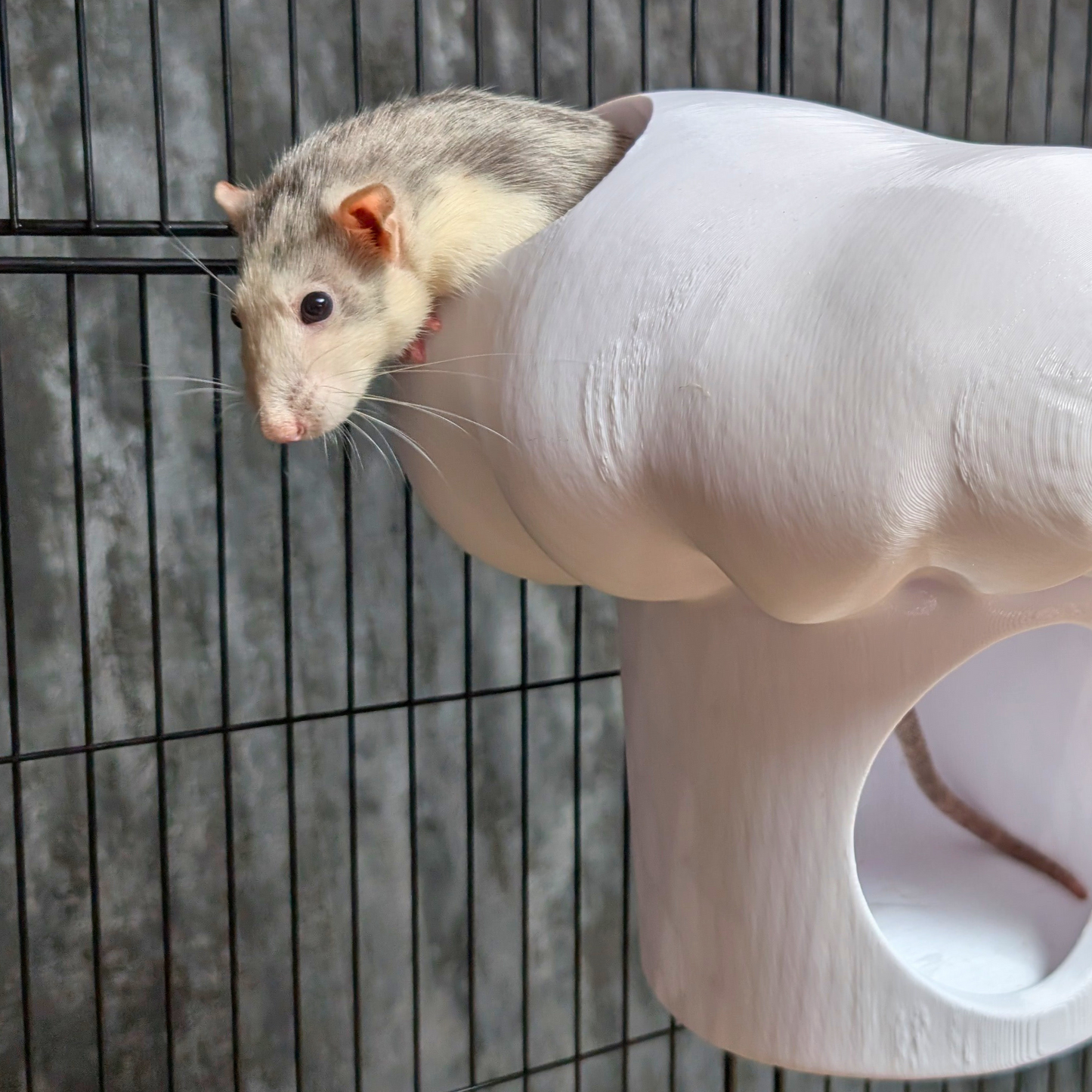 Chef Hat Rat Hide & Bed