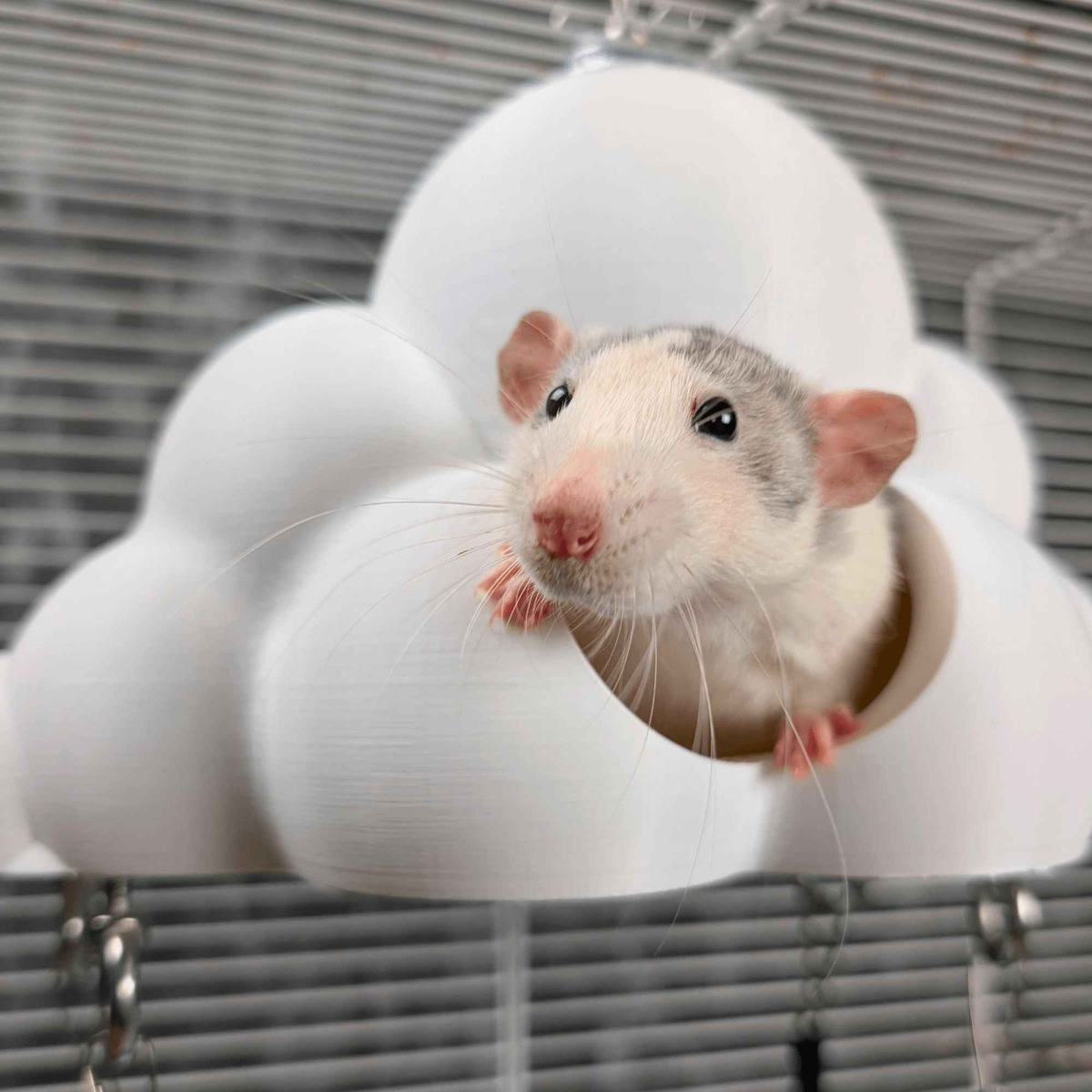 Cloud Hideaway Pet Hammock product packaging and presentation