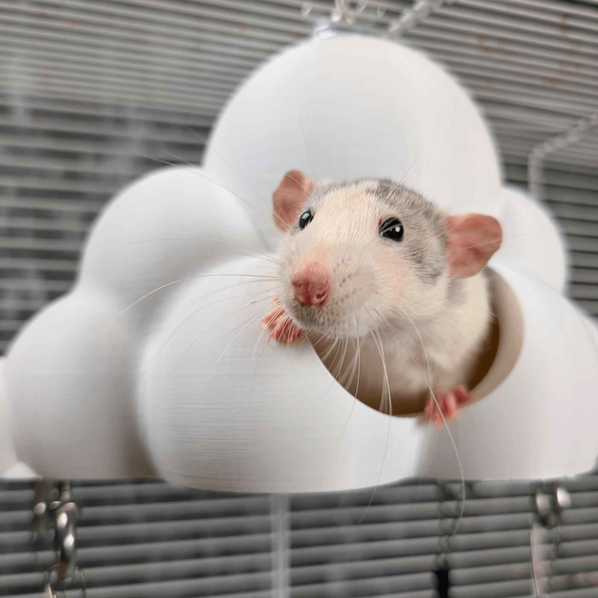 Cloud Hideaway Pet Hammock