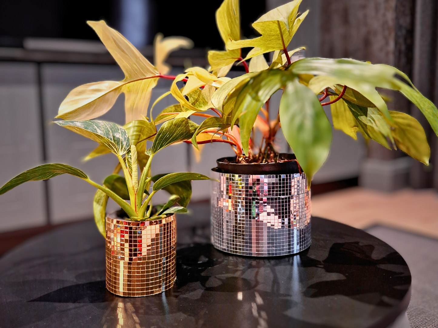 Disco Ball Plant Pot