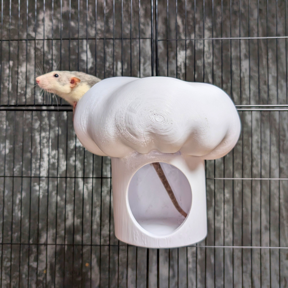 Chef Hat Rat Hide & Bed displayed alongside complementary pieces