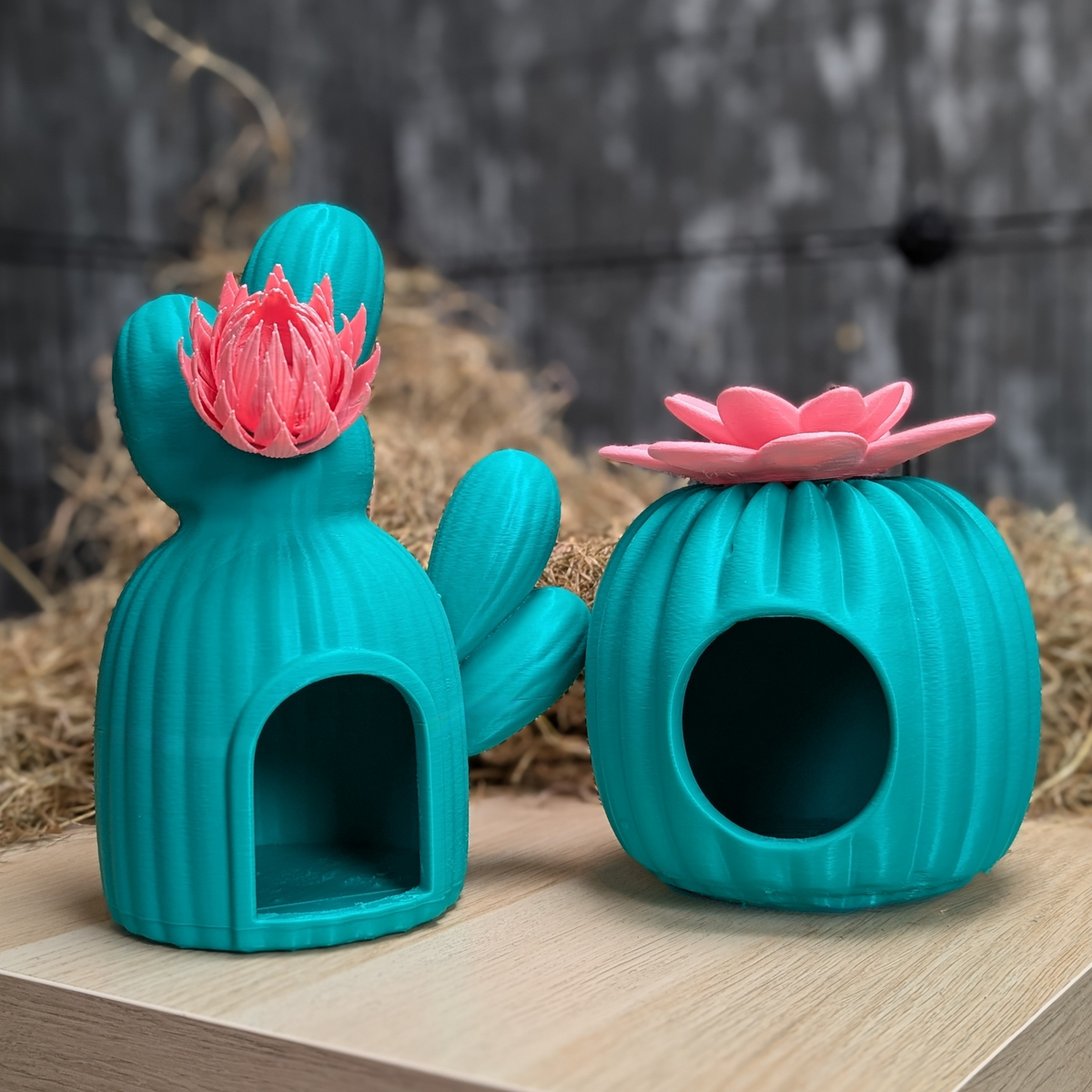 Cactus Rat House & Pet Bed product packaging and presentation