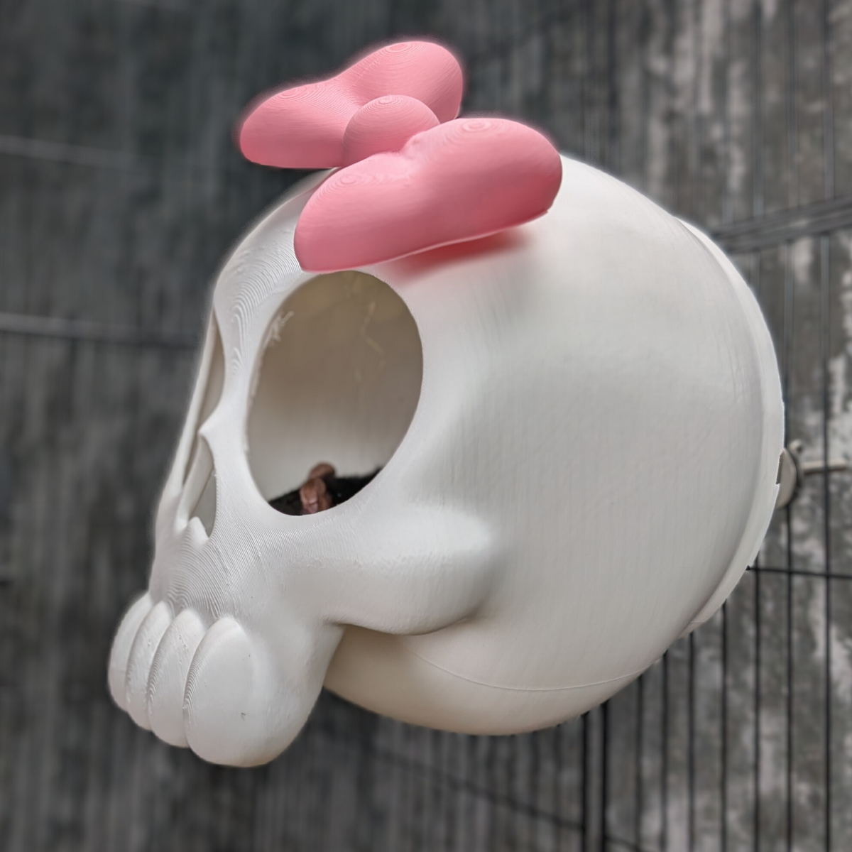 Kawaii Goth Skull Rat Hide lifestyle context shot