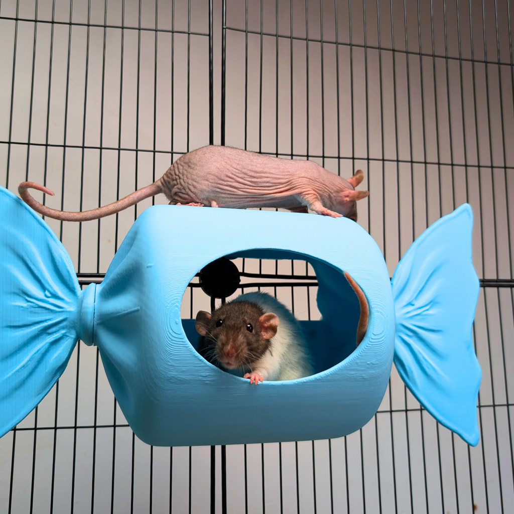 Blue Sweetie Rat Hide & Bed