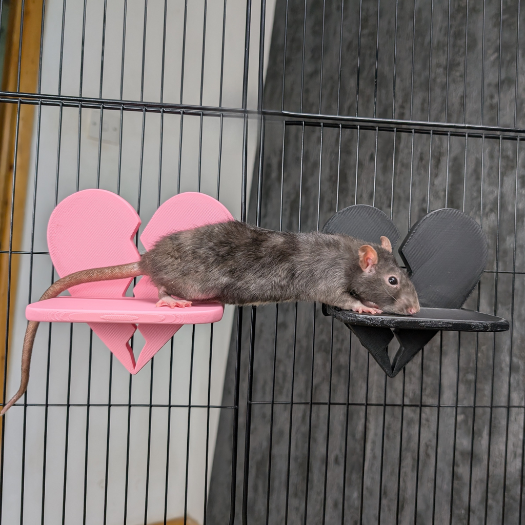 Broken Heart Rat Cage Shelf Set